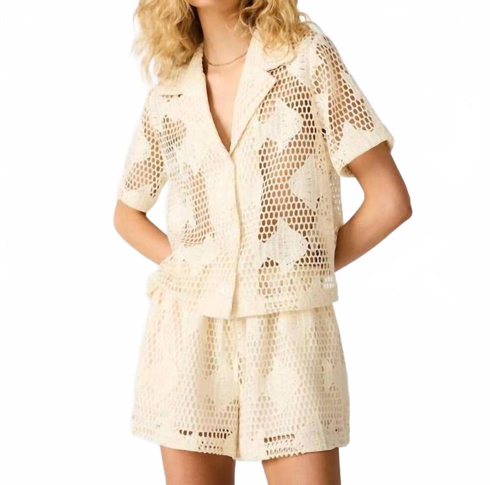 NEW STEVE MADDEN sandra top in ivory